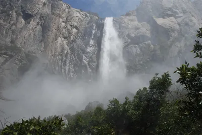 DSC_0064 (Large).JPG